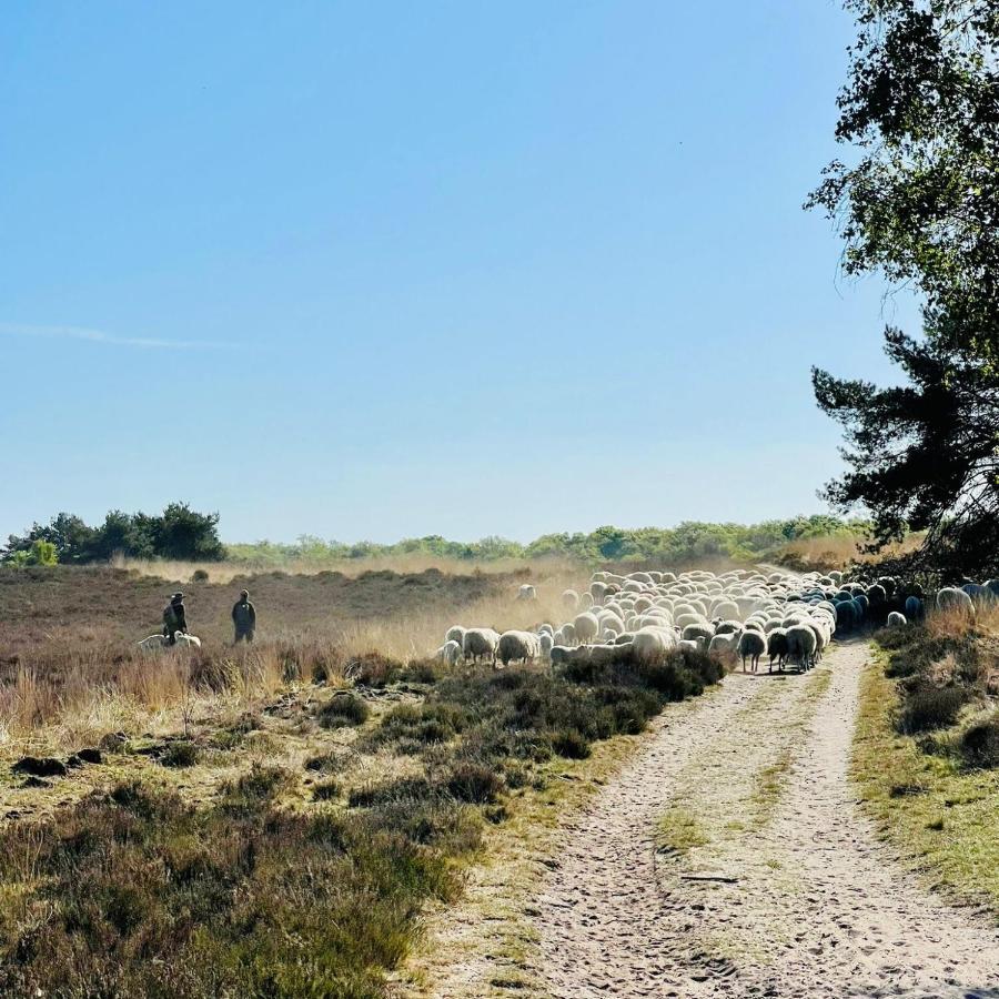 Luxe Vakantiehuis Huismus Veluwe 宁斯佩特 外观 照片