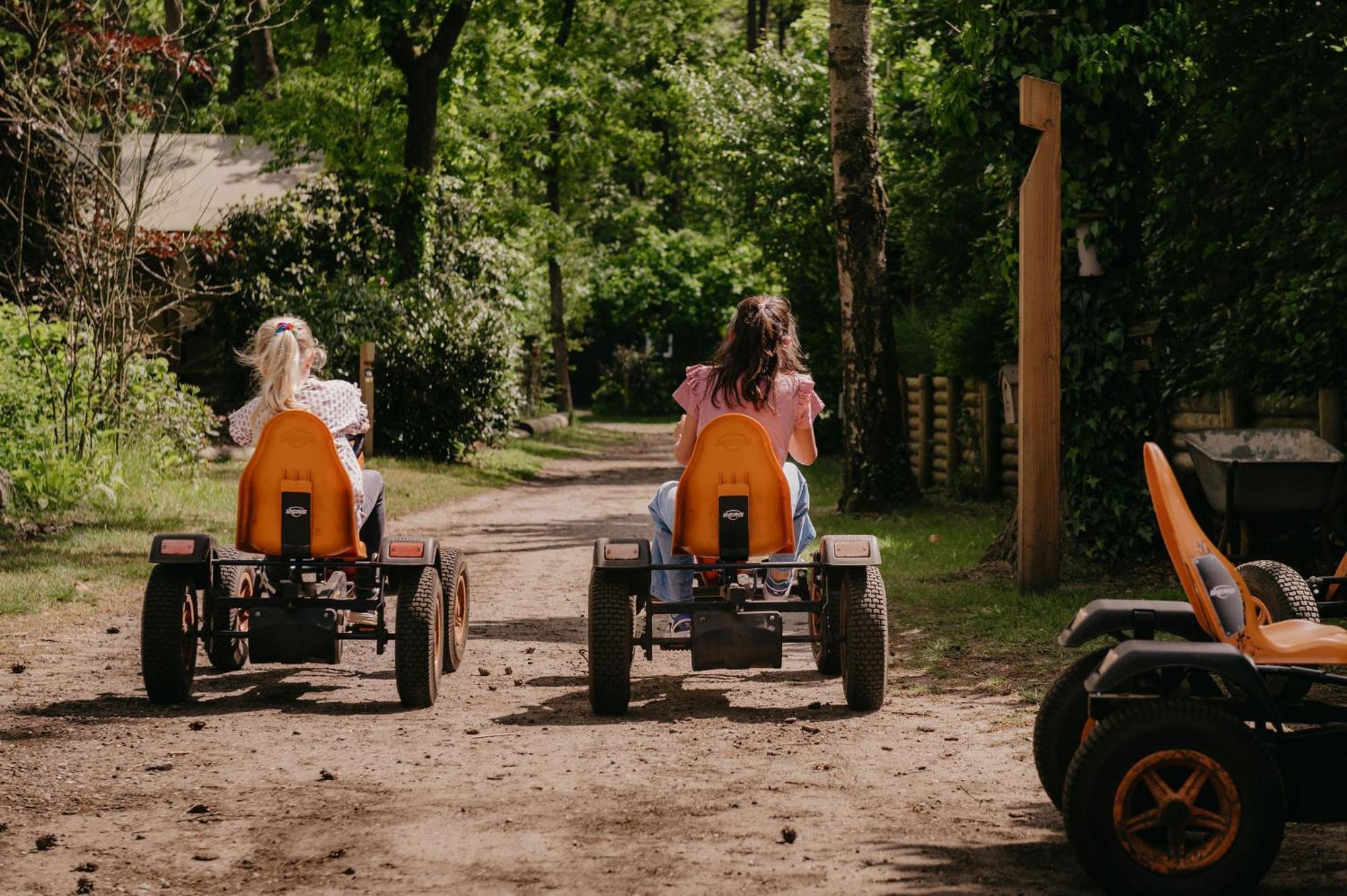 Luxe Vakantiehuis Huismus Veluwe 宁斯佩特 外观 照片